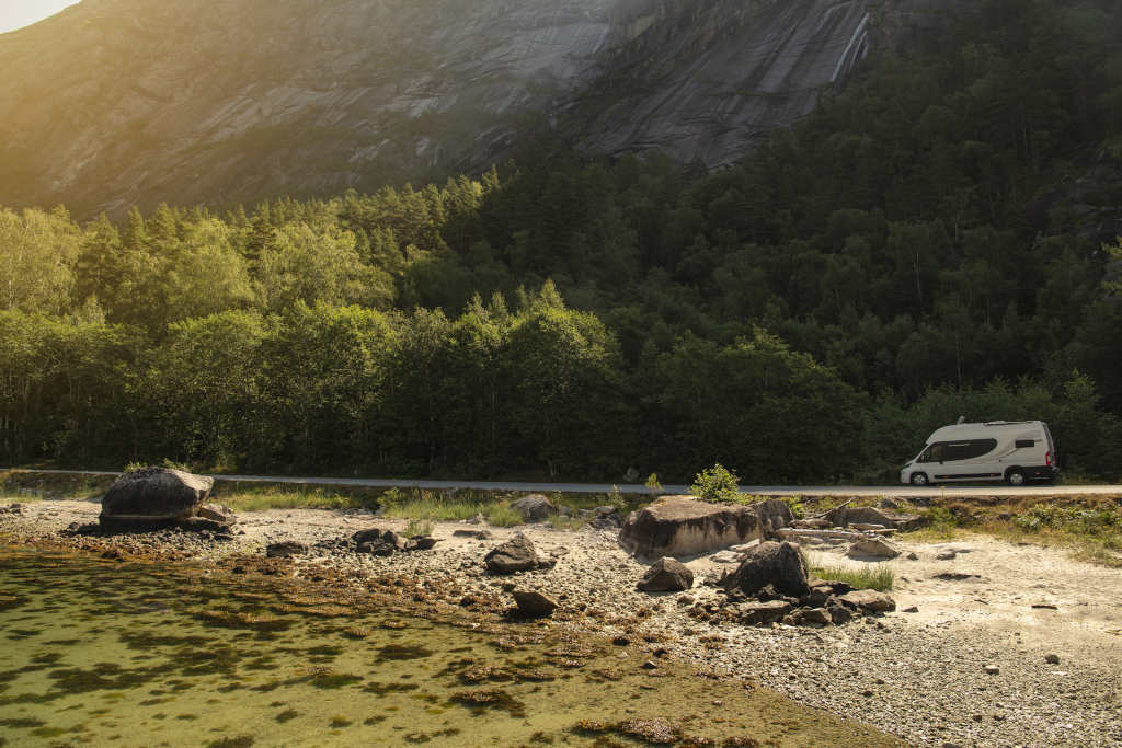 campervan-bosque